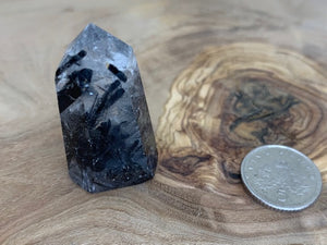 BLACK TOURMALINE IN QUARTZ STANDING POINT 003